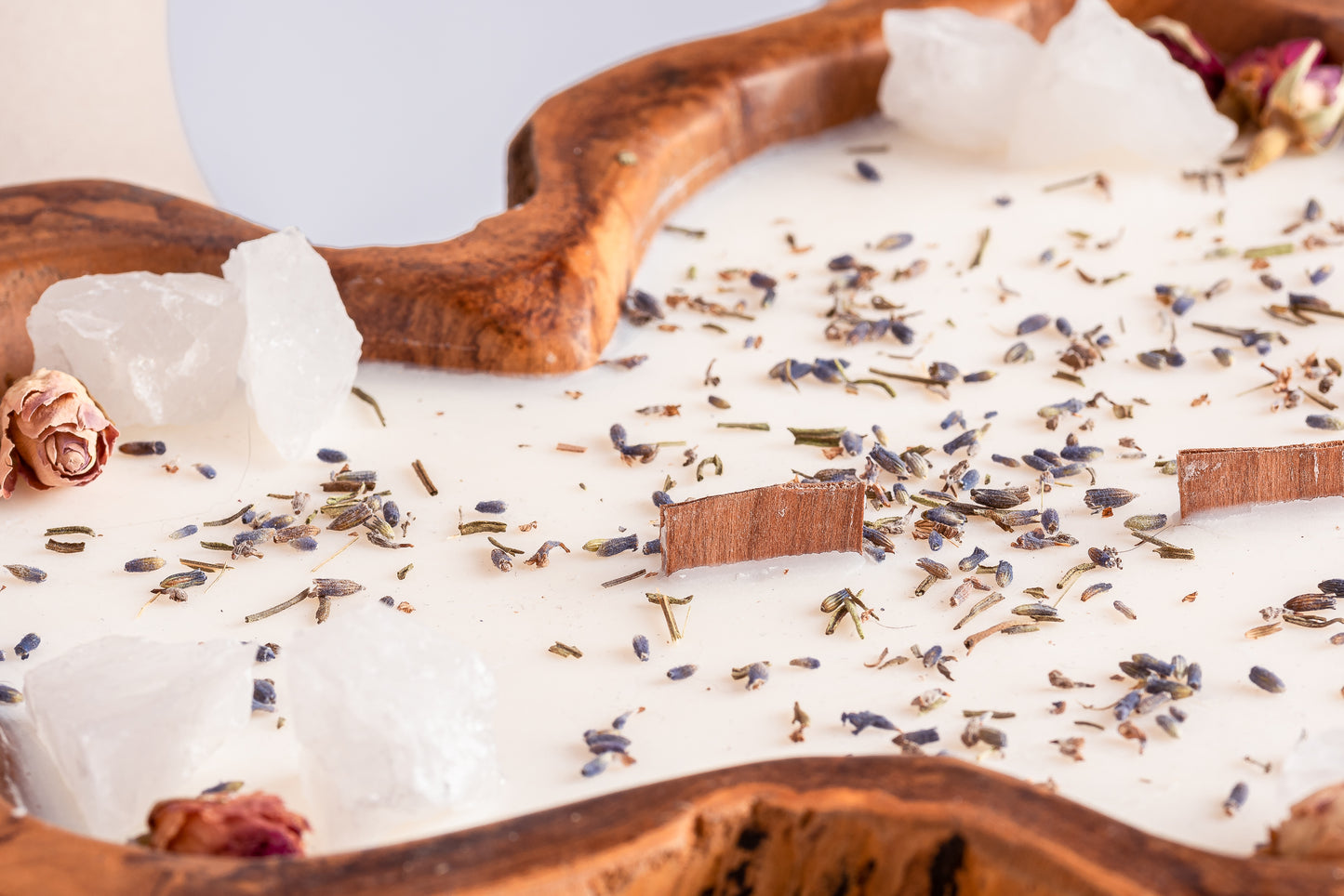 20230514-_7222161_JvdH-Web_klein