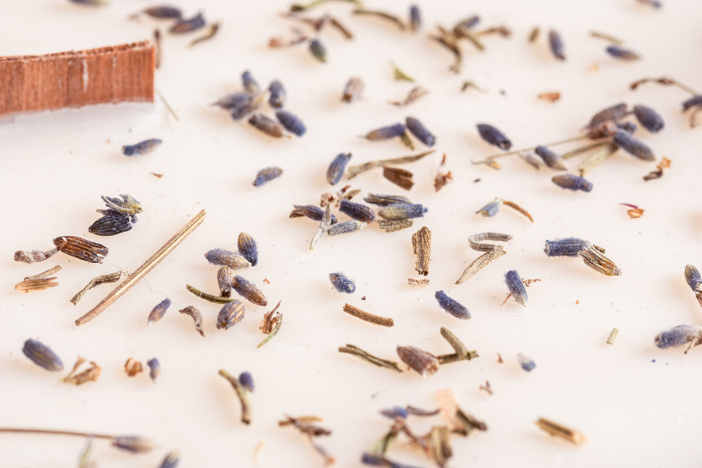 20230514-_7222164_JvdH-Web_klein