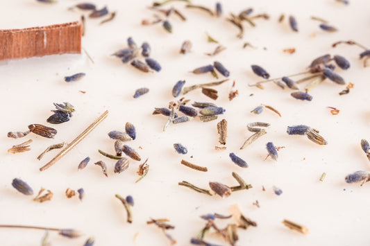 20230514-_7222164_JvdH-Web_klein