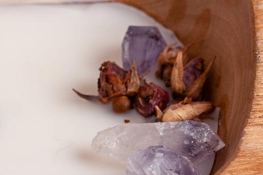 20230514-_7222176_JvdH-Web_klein