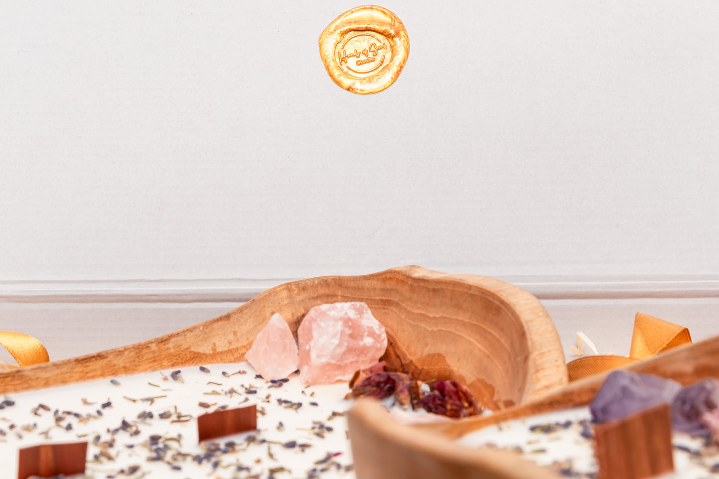 20230514-_8238085_JvdH-Web_klein