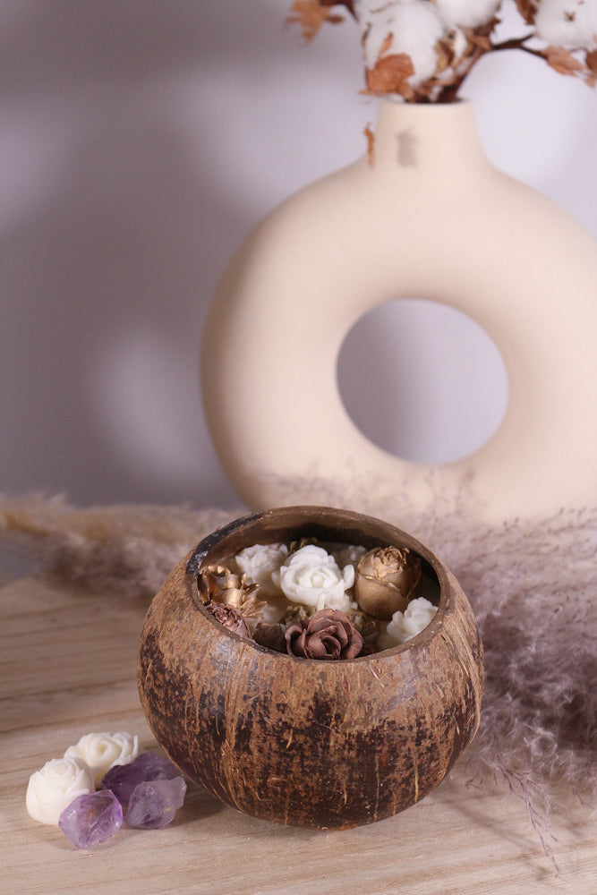 kokosnoot fotoshop extra 2