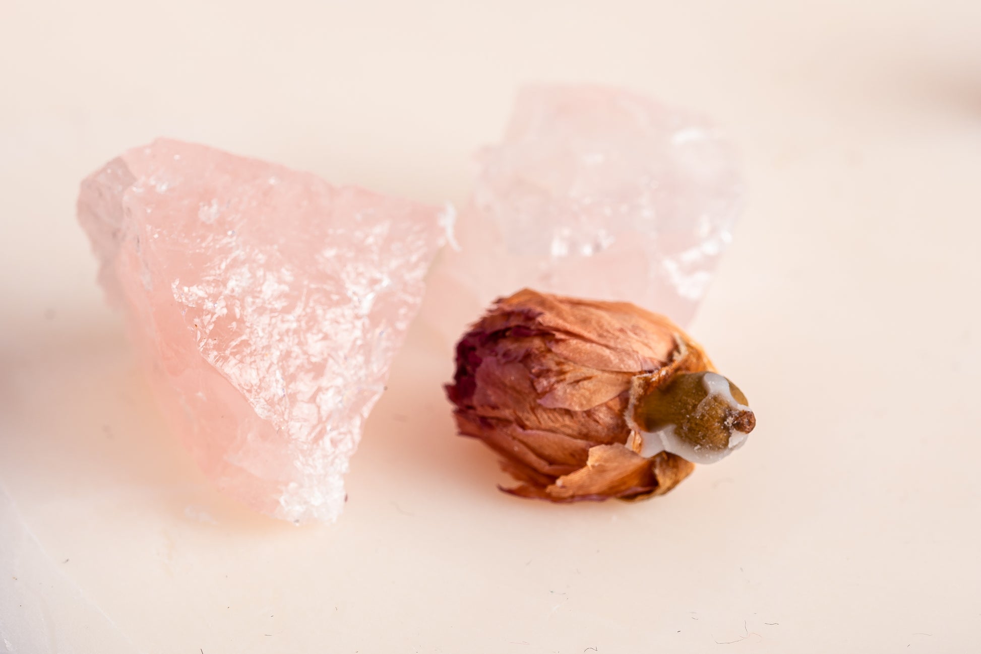 20230514-_7222135_JvdH-Web_klein