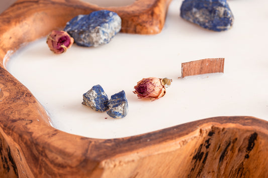 20230514-_7222136_JvdH-Web_klein