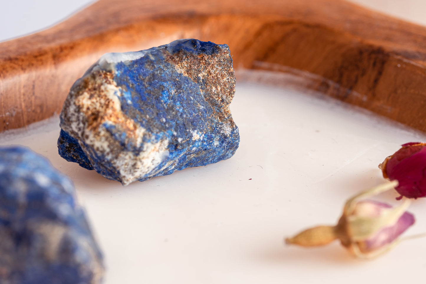 20230514-_7222138_JvdH-Web_klein