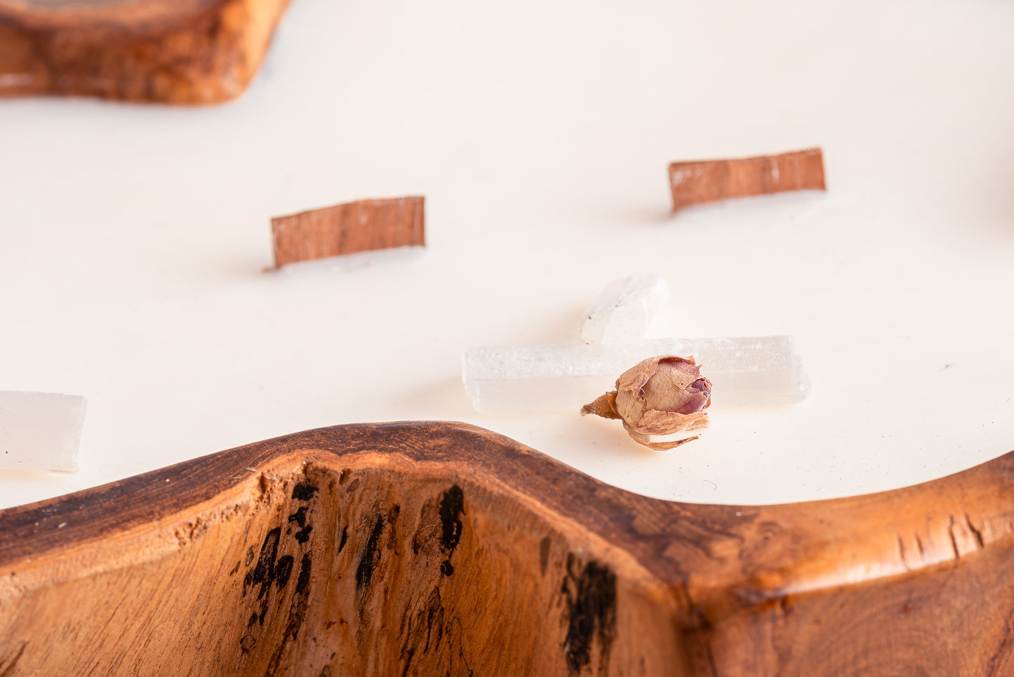 20230514-_7222150_JvdH-Web_klein