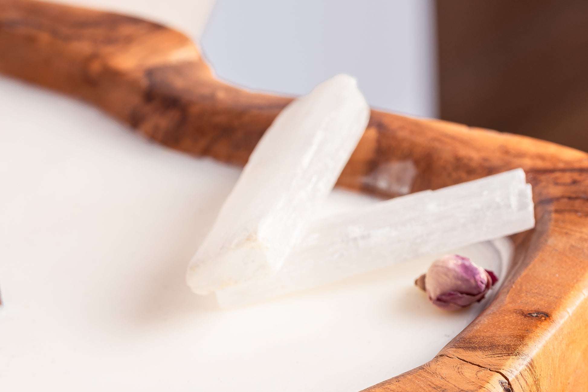 20230514-_7222151_JvdH-Web_klein