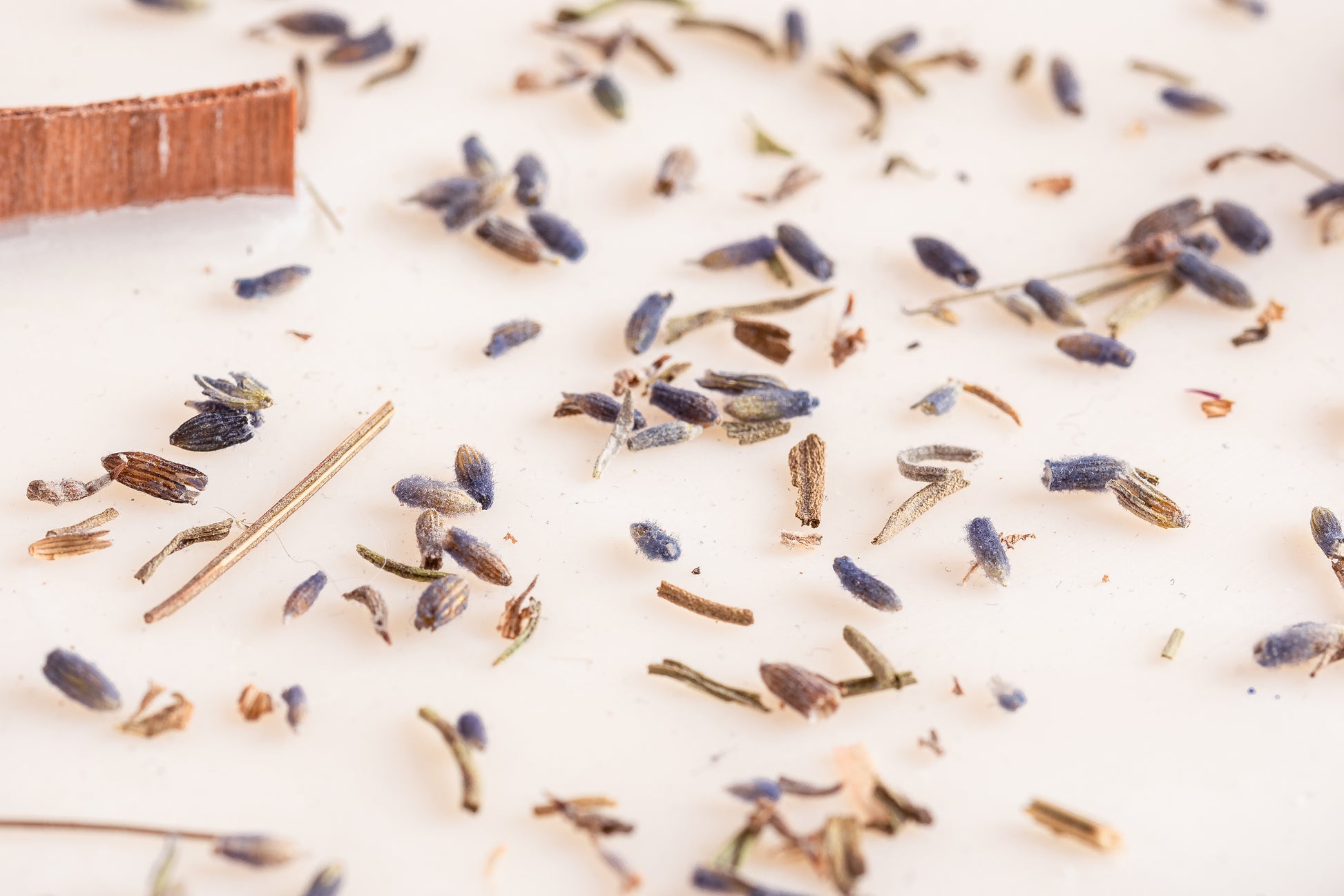 20230514-_7222164_JvdH-Web_klein