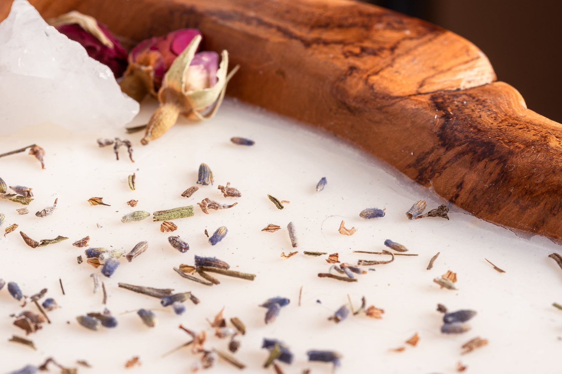 20230514-_7222166_JvdH-Web_klein