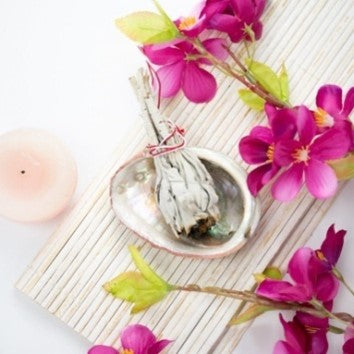 Abalone schelp 70 tot 90 mm