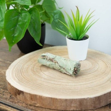 Witte Salie &#038; Eucalyptus Smudge Stick (10 cm) 2