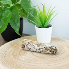 Witte Salie &#038; Lavendel Smudge Stick (10 cm)