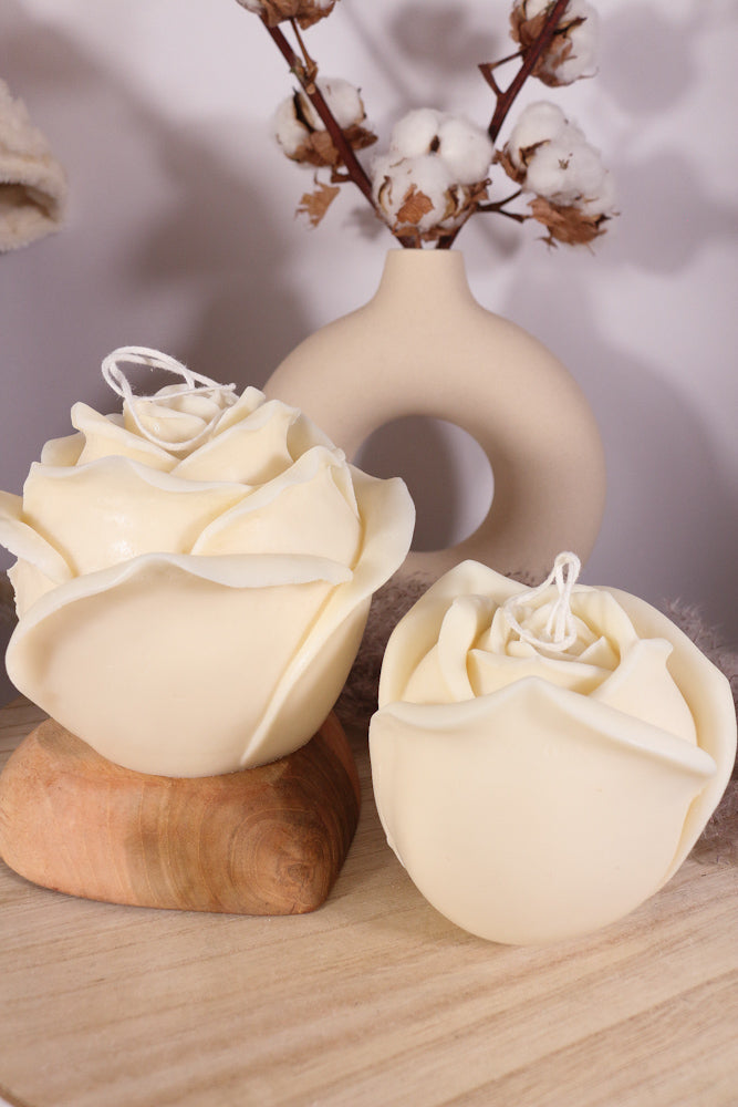 big rozen fotoshop 1