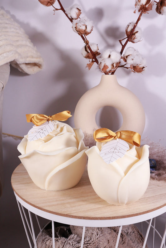 big rozen fotoshop 2