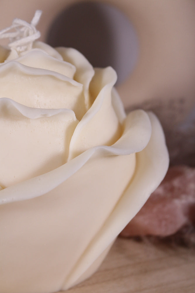 big rozen fotoshop 5