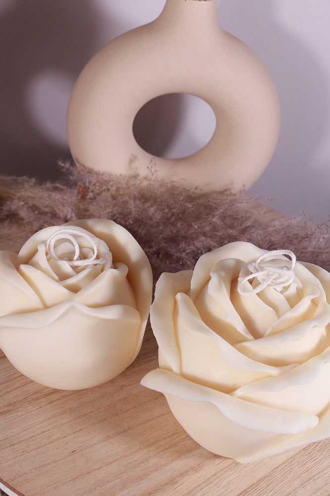 big rozen fotoshop 6