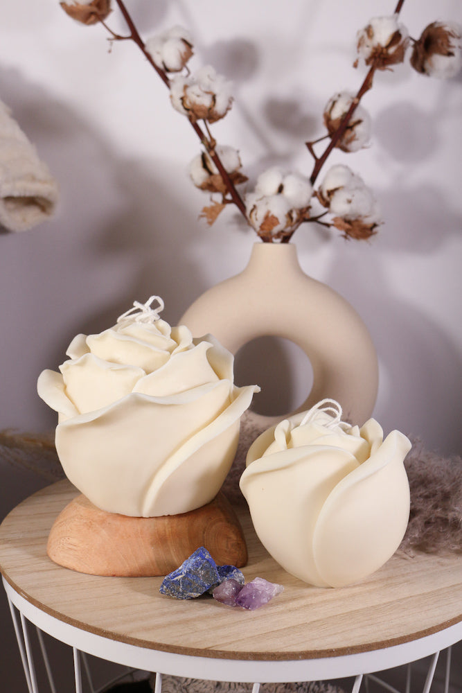 big rozen fotoshop 7