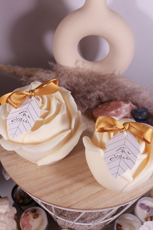 big rozen fotoshop 8