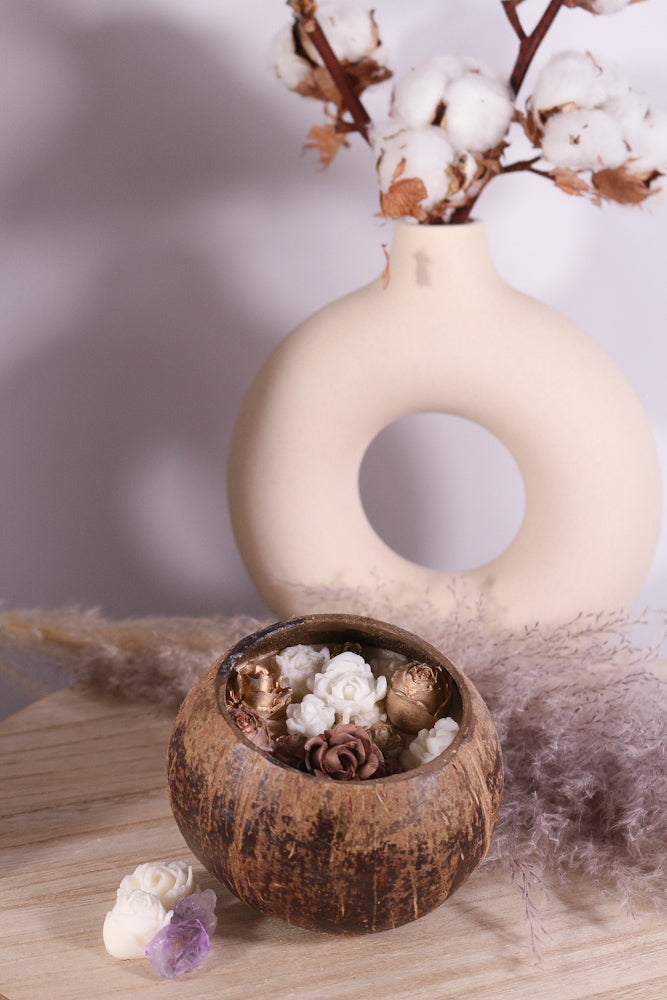 kokosnoot fotoshop extra 5jpg