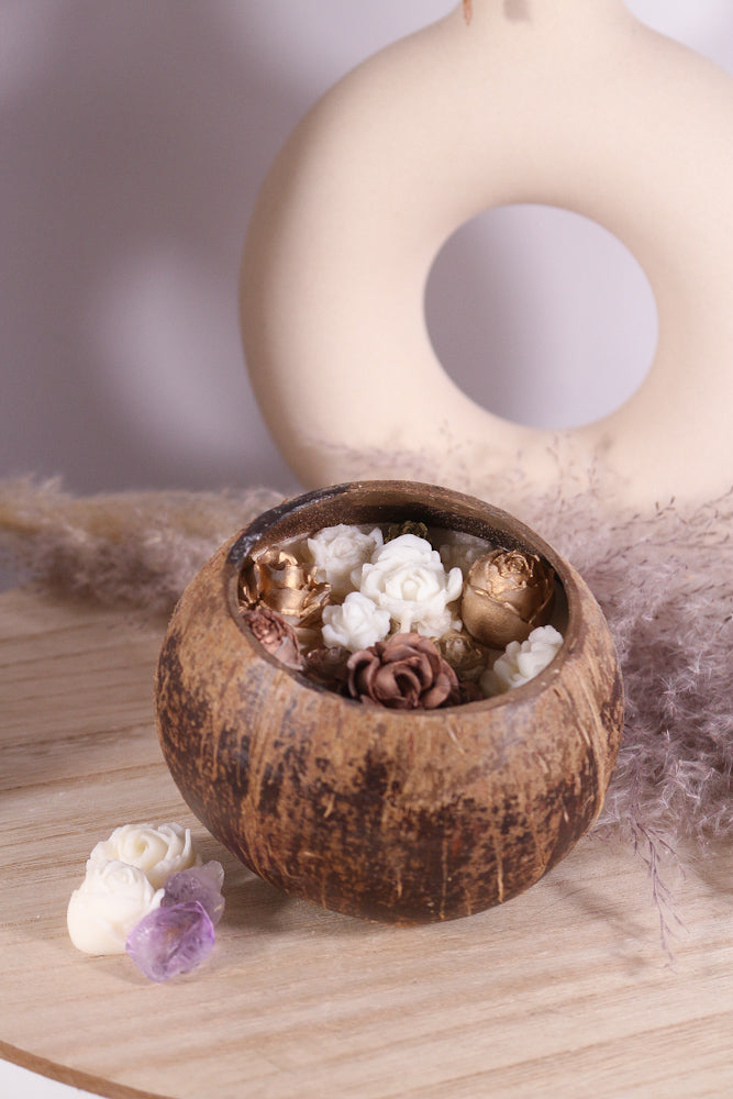 kokosnoot fotoshop extra 6jpg