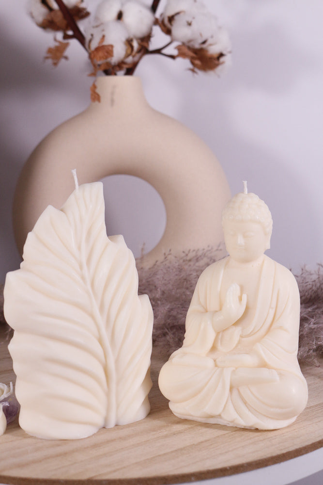 leaf blad fotoshop 8pg